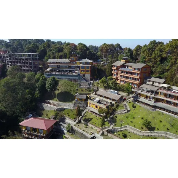 Lawn Mowing & Maintenance